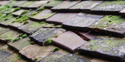 Fyfield roof repair costs